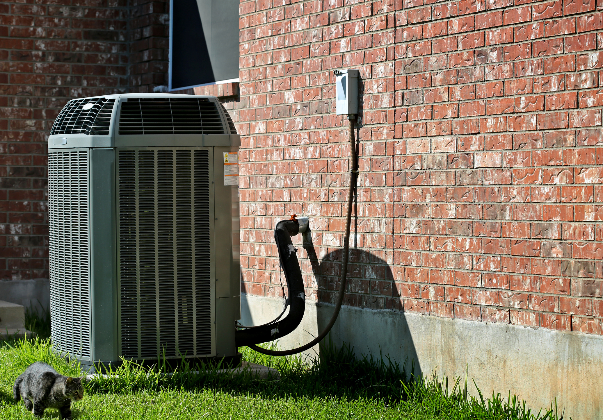 Air-conditioner and walking cat in hot sunny day