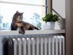 HVAC maintenance when you have pets